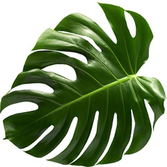 LAYER-LAB_0804230628_LC