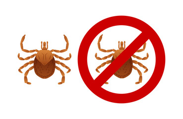 Tick, parasite that transmits Rocky Mountain spotted fever