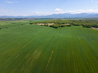 Aerial view of Upper Thracian Plain near town of Asenovgrad, Bulgaria