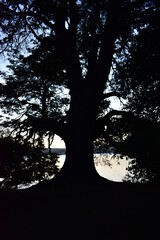 VISTA AL ATARDECER AL LAGO