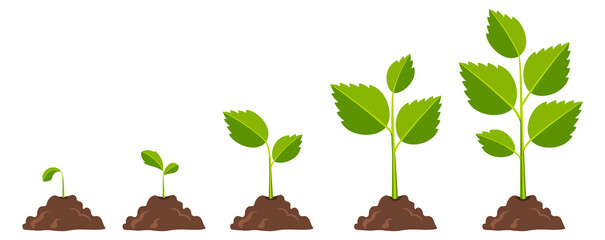 Plant growth stages icons. Cartoon nature proccess