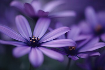 Fototapeta premium purple flowers in close-up with blurred background. Generative AI