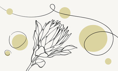 Vector yellow background, banner yellow line art drawing with protea flower, vector illustration with circle shapes