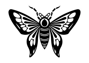 Black outline silhouette of moth vector art. Insect mascot icon illustration.