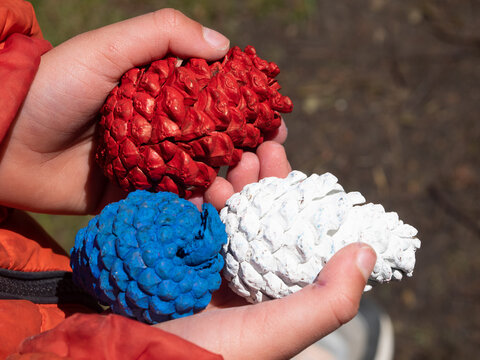 Pine cones painted in the color of the Dutch flag to commemorate those fallen during world war two