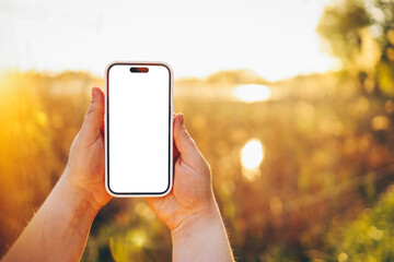 Phone in hands with isolated screen at sunset
