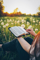 Christian woman holds bible in her hands. Reading the Holy Bible in a field during beautiful...