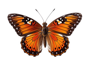 Fototapeta premium Tropical butterfly isolated. Illustration AI Generative.