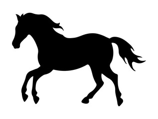 Horse running, silhouette isolated on white
