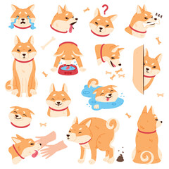 Akita Inu Dog and Domestic Animal or Pet in Different Situation Vector Set