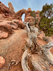 Arches Natiomal Park, Utah, USA