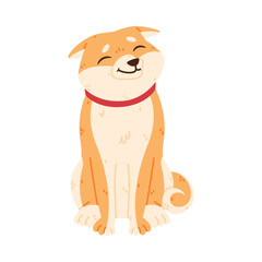 Sitting Akita Inu Dog and Domestic Animal or Pet Vector Illustration