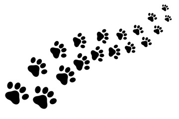Path of cute paw prints on white background