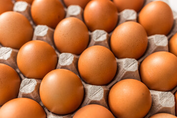 Raw chicken brown eggs in a cardboard tray eggs farm background