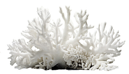 Naklejka premium sea coral, coral reef on the transparent background PNG. Top view. AI generative.