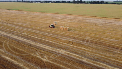 Obraz premium Cleaning straw stacks in field after harvest. Tractor gathering stacks of straw after harvesting wheat on summer evening. Aerial drone view. Field of mowed spike of cereals. Field harvest, harvesting
