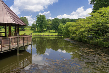 Wooden gazebo on the pond in the city Park in sunny day summer