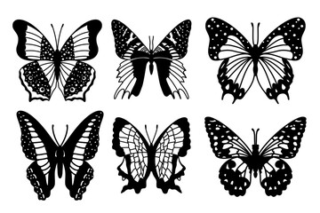 Obraz na płótnie Canvas butterfly silhouette, group of butterflies, black and white, wildlife