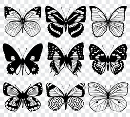 Fototapeta na wymiar butterfly silhouette, group of butterflies, black and white, wildlife