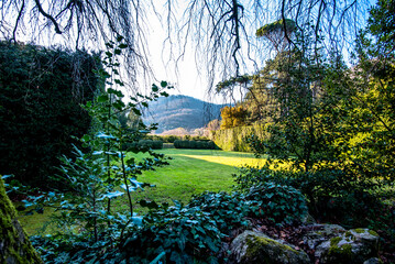 2023 03 18 Valsanzibio secret garden