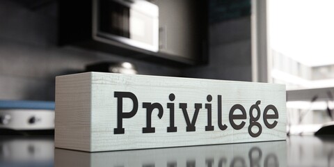 Privilege - word on wooden block - 3D illustration