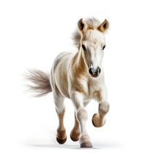 Adorable Cute Funny Baby Horse Foal Running Close Up Portrait Photo Illustration on White Background Nursery, Kid's, Children's room, pediatric office Digital Wall Print Art Nature Generative AI