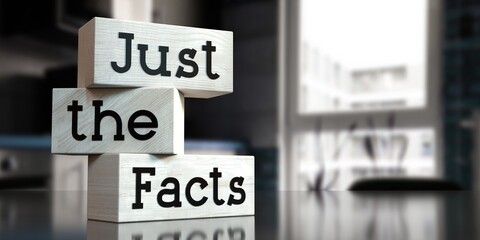 Just the facts - words on wooden blocks - 3D illustration