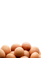 organic eggs close-up selective focus