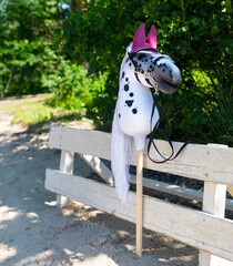 Stick horse, hobby horse. Equestrian sports. Equestrian equipment. Sports. Summer. The sun. Banner....