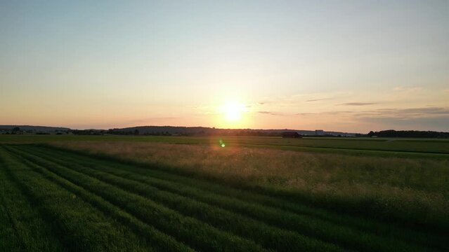 Germany, Bavaria, Allgaeu, drone flight over the meadow in the sunset