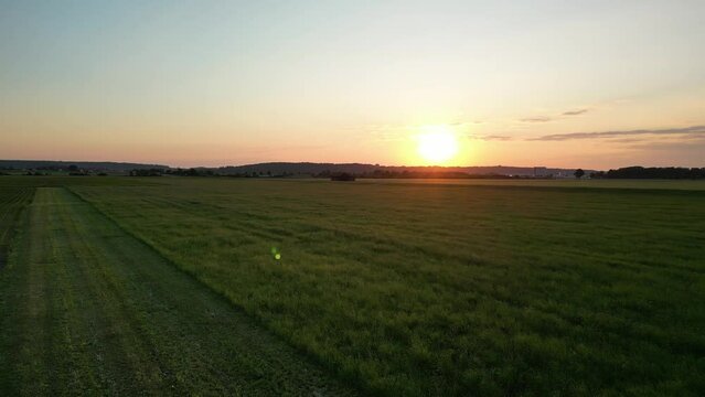 Germany, Bavaria, Allgaeu, drone flight over the meadow in the sunset