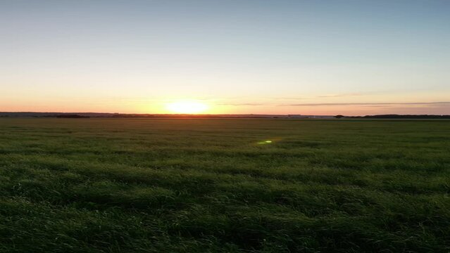 Germany, Bavaria, Allgaeu, drone flight over the meadow in the sunset
