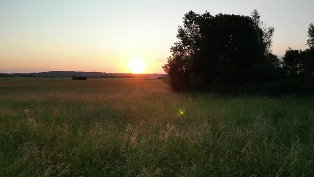 Germany, Bavaria, Allgaeu, drone flight over the meadow in the sunset