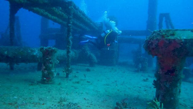 scuba diver in the sea