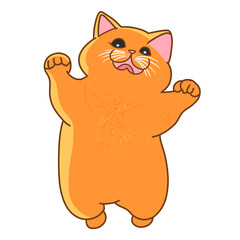 Orange cat