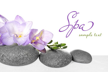 Fototapeta na wymiar Spa stones and freesia on light marble table against white background, closeup. Design with space for text