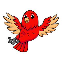 Cute red suffusion lovebird cartoon flying