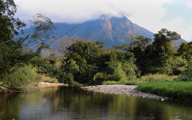 Mata atlântica, Pico Marumbi, rio Mãe Catira.