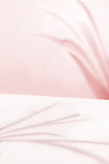 Pastel Pink Tonal Background with Natural Leaf Shadows