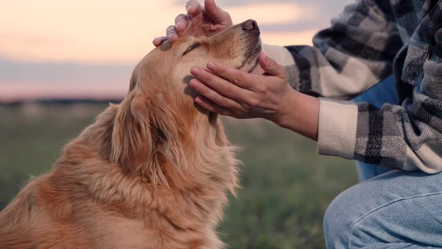 Owner strokes dog spaniel with hand, outdoors. Closeup dog sitting next its owner. Concept human animal friendship. Man stroking red dog, sunset during hike. Dog get caress from owner. Owner loves pet