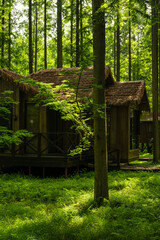 a wooden cottage in forest