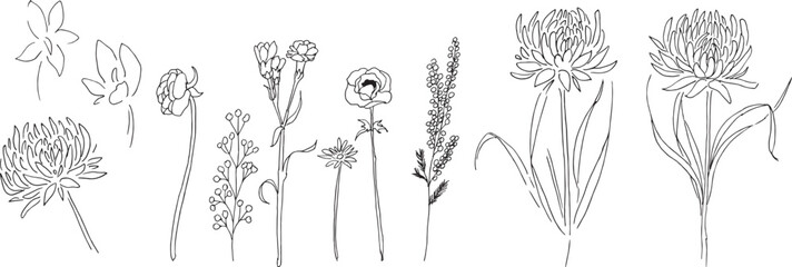 線画。手描きの草木ベクターイラスト。手描きの植物の背景素材。草木線画スケッチ。Line drawing. Hand drawn plants and trees vector illustration. Hand drawn plants background material. Grass tree line drawing sketch.