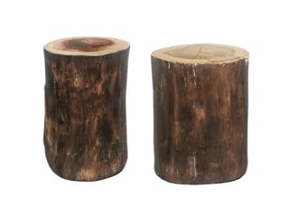 Fotobehang Brandhout textuur Wood log. transparent background