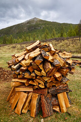 The traditional way of storing firewood of the indigenous people of Buryatia