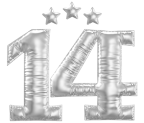14 year anniversary number silver