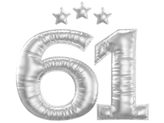 61 year anniversary number silver