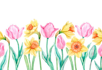 Horizontal seamless border with flowers. Flowering pink tulips and yellow daffodils with green leaves and stems. Hand-drawn watercolor illustration. Design for postcard, packagin.
