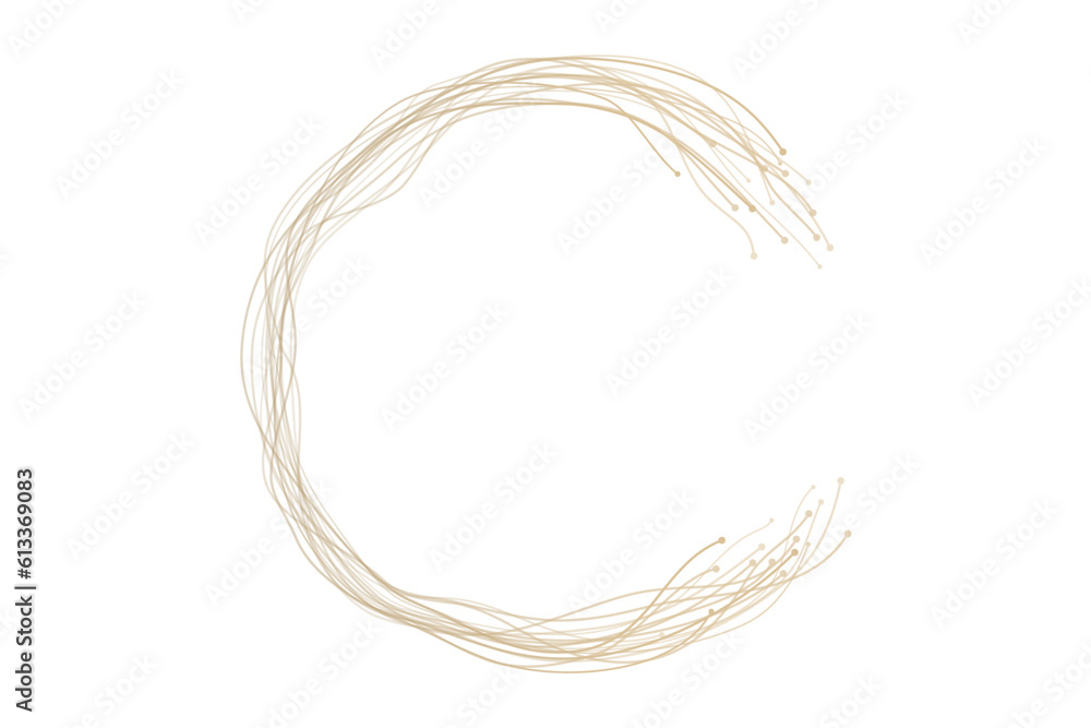Leinwandbilder Vector abstract circles lines wavy swirl in round frame gold light isolated on transparent background with empty space for text in luxury style.