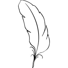 Bird feather. Hand drawn illustration converted to vector. Outline with transparent background
