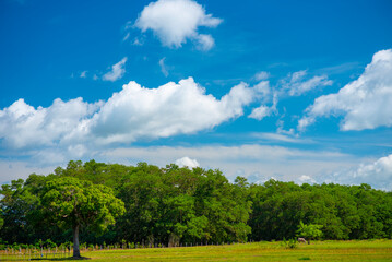 Blue sky and white clouds The freshness of a new day Bright blue background Feel relaxed like in the sky Landscape image of blue sky and thin clouds